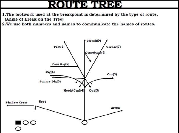 Basic WR Manual - Image 2